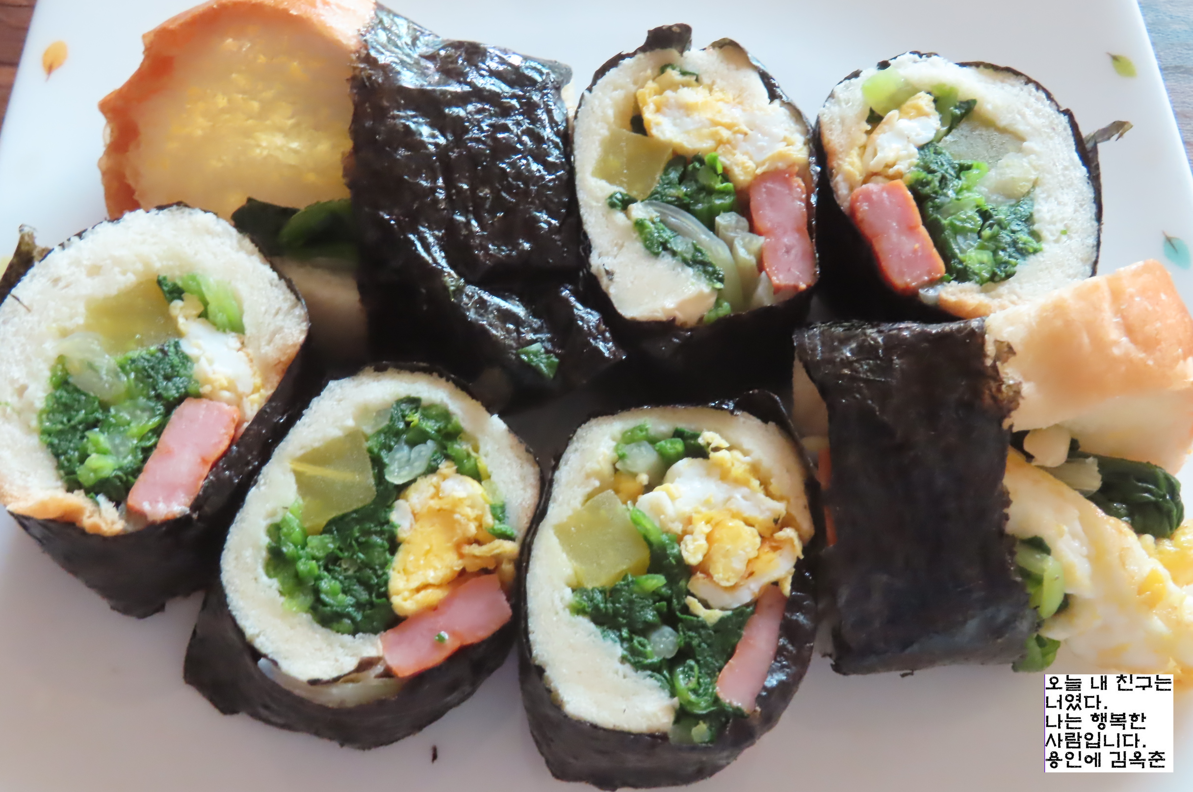 김밥나무 이미지