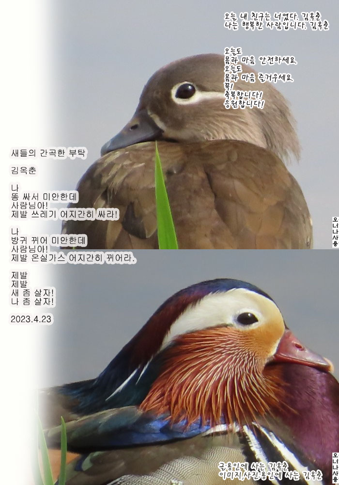 조몰락 이미지