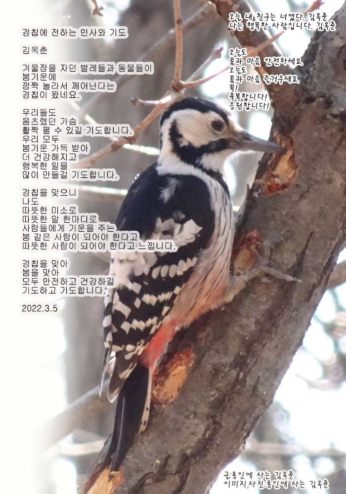 더자 이미지