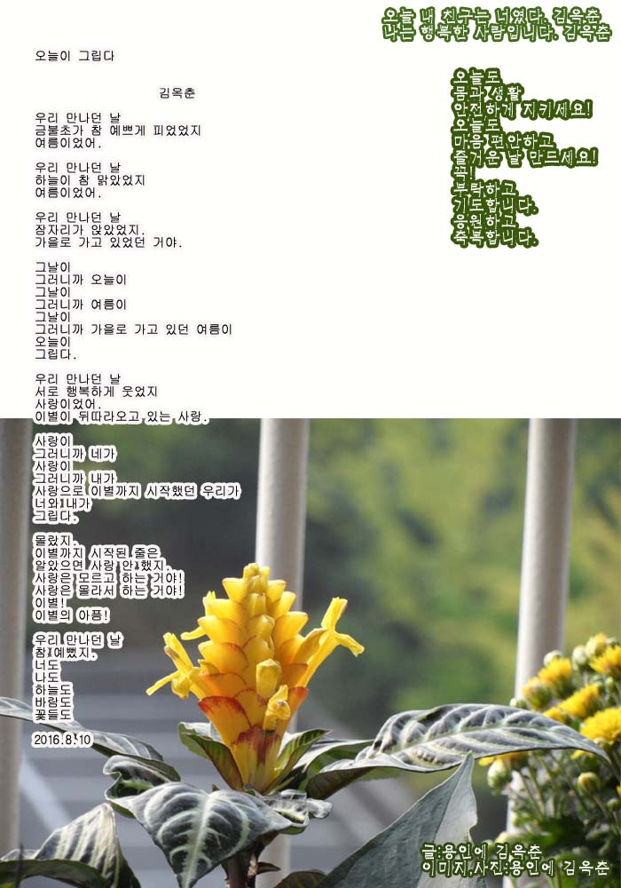 먹방올림픽 이미지