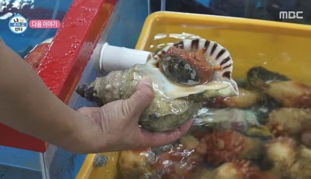 나팔횟집 이미지