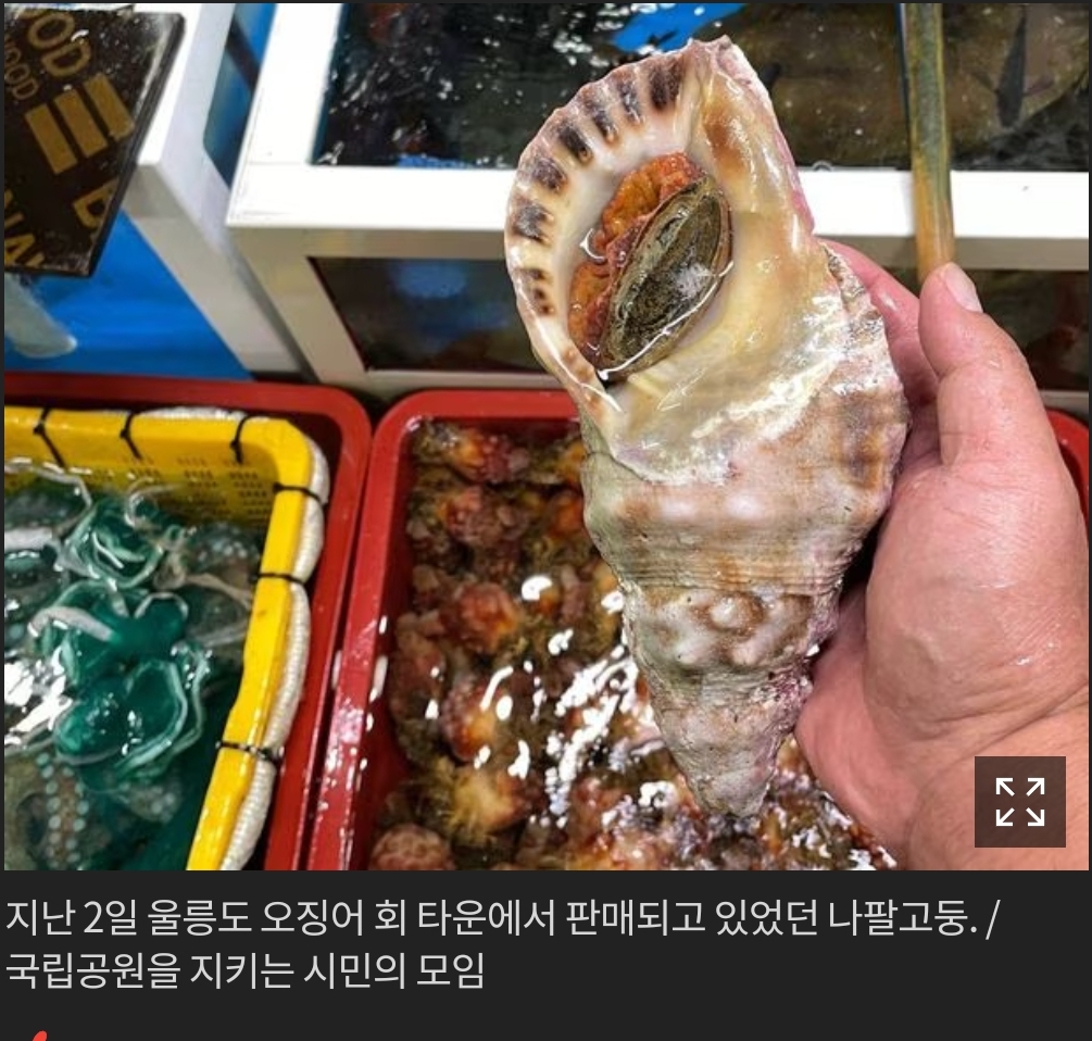 나팔횟집 이미지