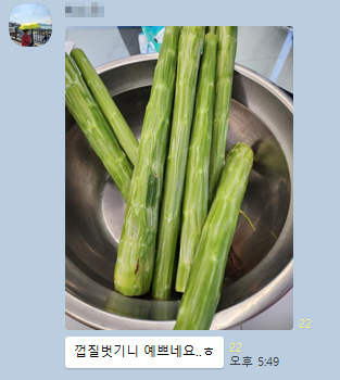 궁채 이미지