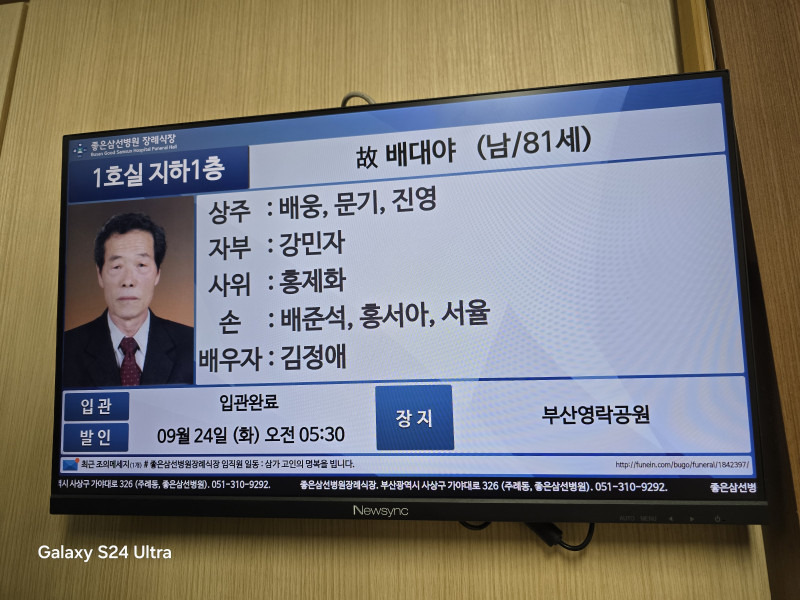 배*대 이미지