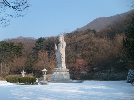 앵무봉 이미지