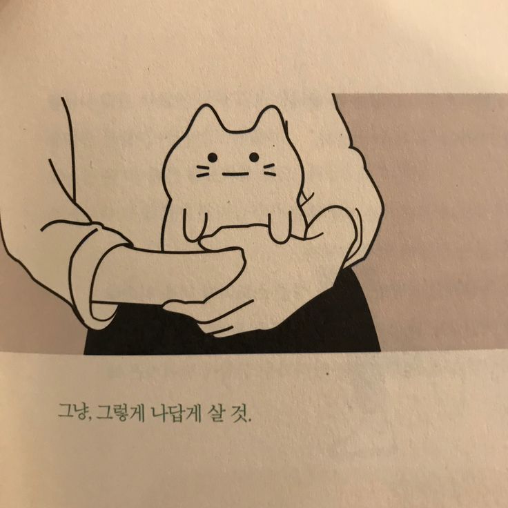 그 고양이는 이름이 많았어 | 인스티즈