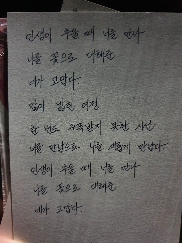 그 고양이는 이름이 많았어 | 인스티즈