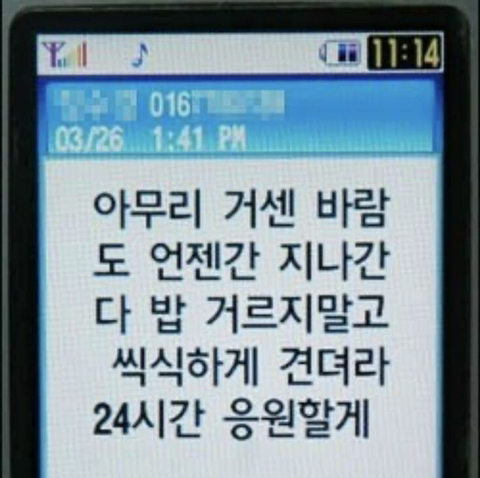 그럼 그 아이가 너의 행운의 펭귄인거야 | 인스티즈