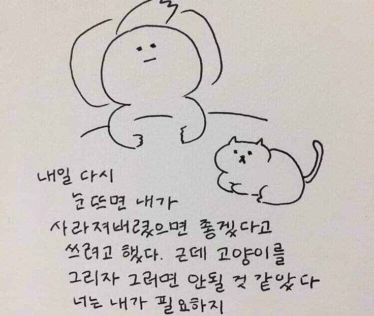 그 고양이는 이름이 많았어 | 인스티즈