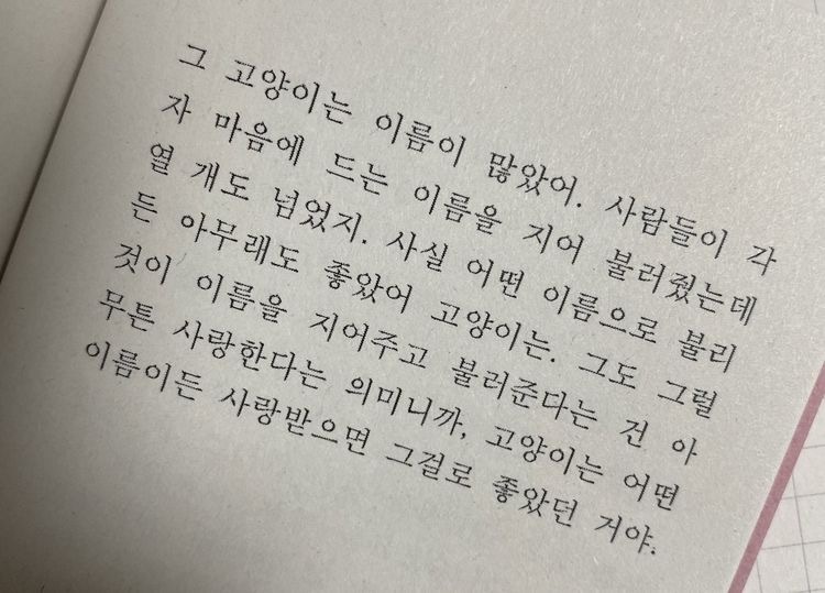 그 고양이는 이름이 많았어 | 인스티즈