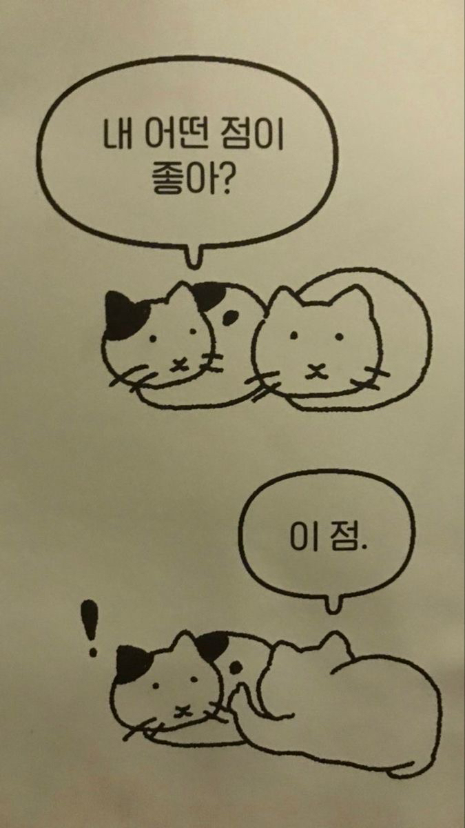 그럼 그 아이가 너의 행운의 펭귄인거야 | 인스티즈