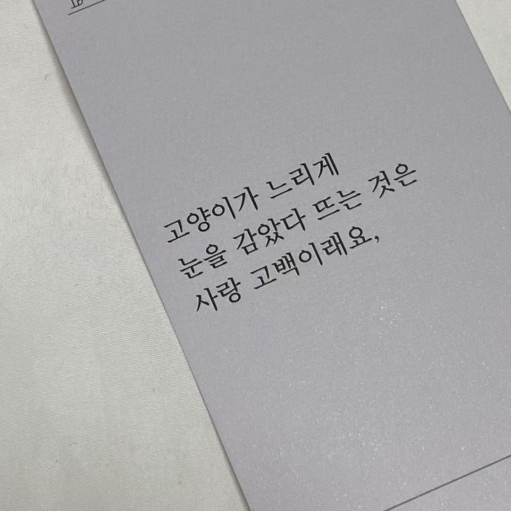 그 고양이는 이름이 많았어 | 인스티즈