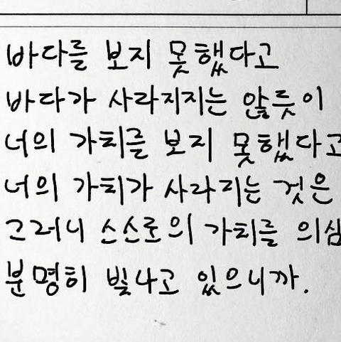 그럼 그 아이가 너의 행운의 펭귄인거야 | 인스티즈