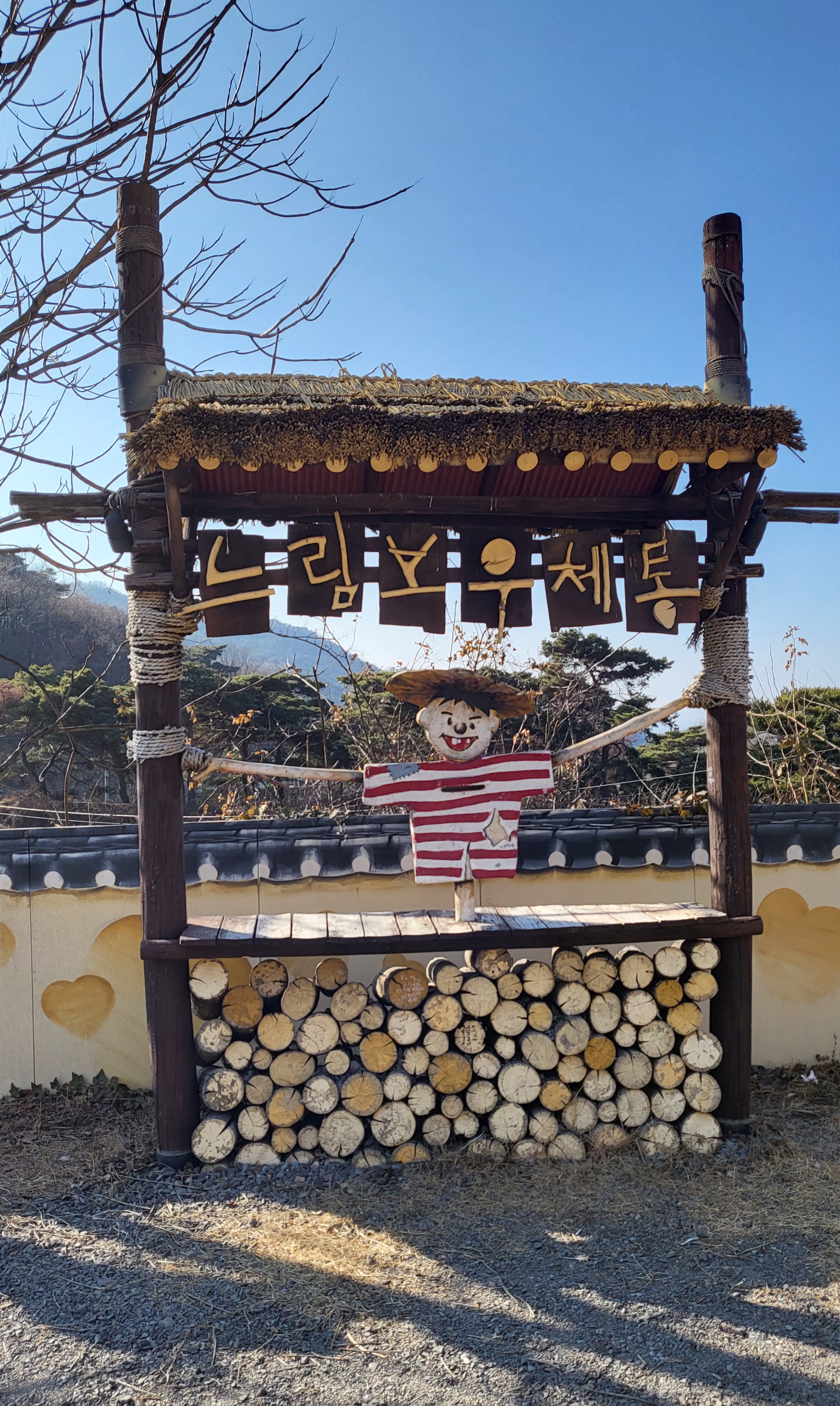 느림보 이미지