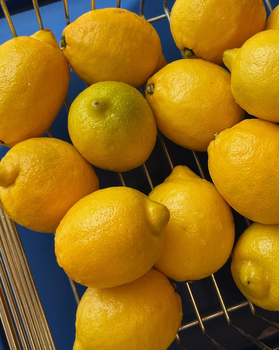 무더위를 날려줄 서울 레몬 🍋 요리 맛집 5 | 인스티즈