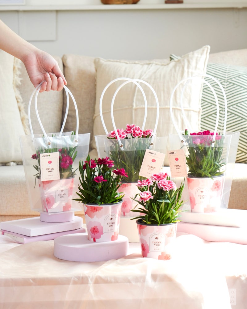 다이소 2025 가정의달 🎁 | 인스티즈