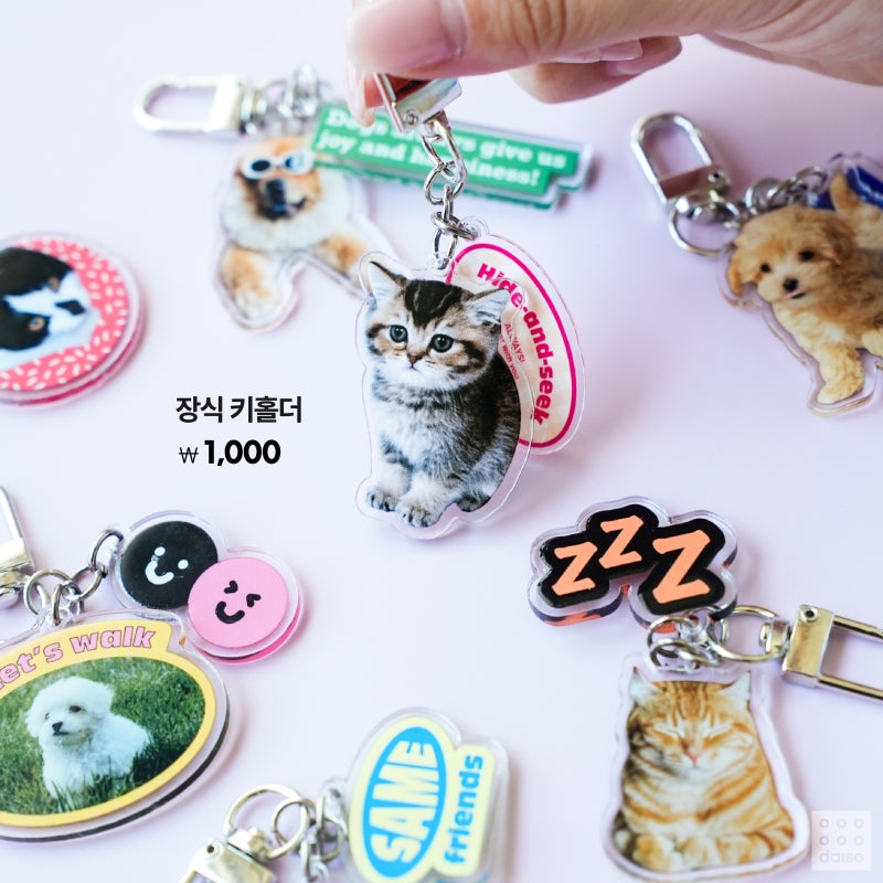 다이소 5월 여름템 신상🫧 | 인스티즈