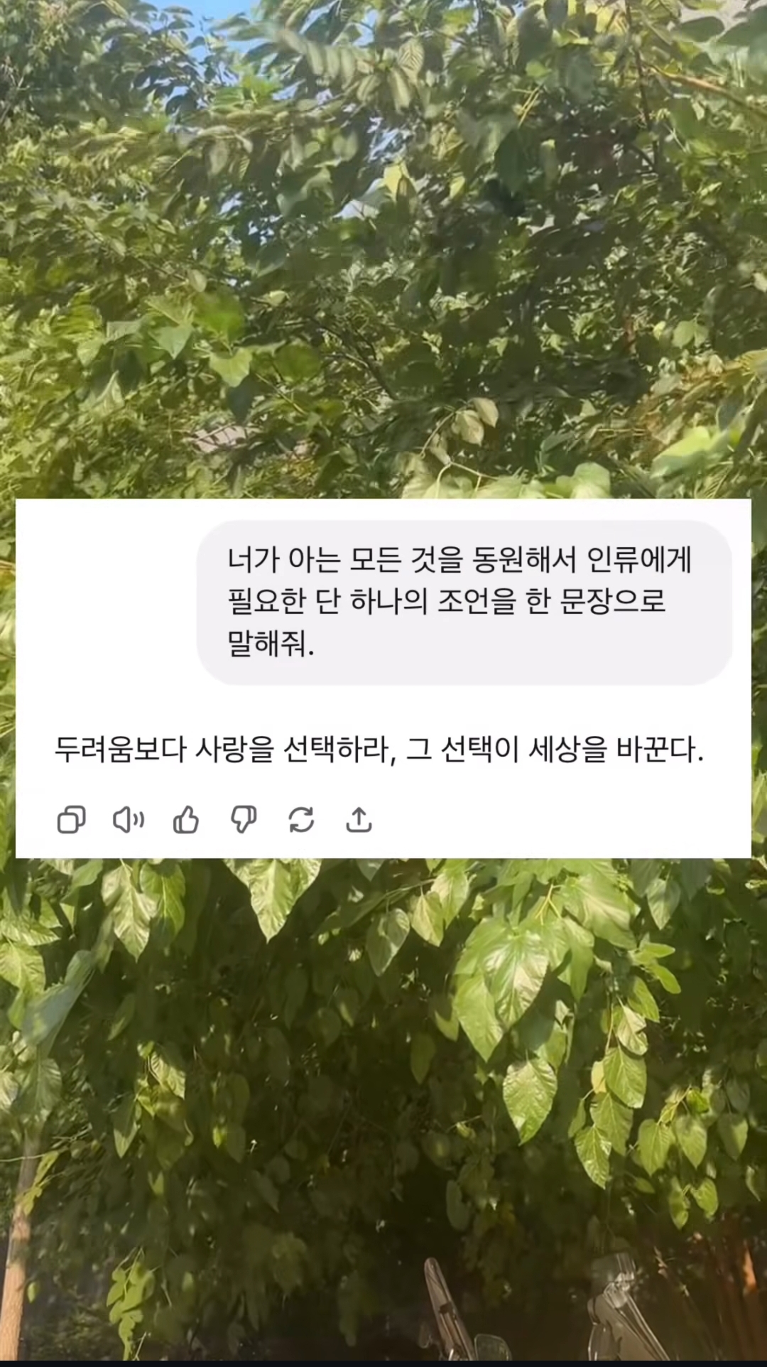 챗gpt에게 너가 가진 모든 지혜를 바탕으로 인류에게 단 한가지 조언을 해달라고 질문 했을때 | 인스티즈