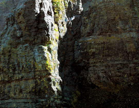 실사 영화 드래곤 길들이기 쿠팡플레이 공개 | 인스티즈