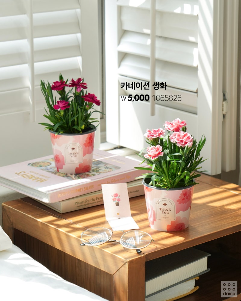 다이소 2025 가정의달 🎁 | 인스티즈