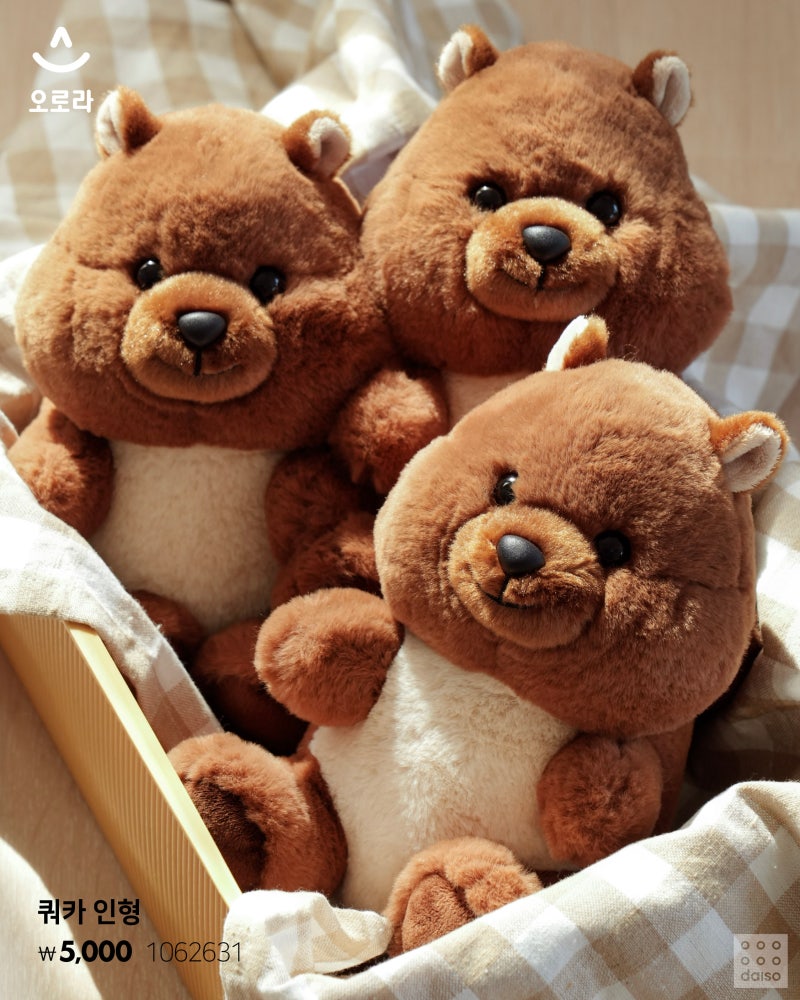 다이소 2025 가정의달 🎁 | 인스티즈