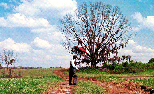 팀 버튼 감독 빅 피쉬 재개봉 | 인스티즈