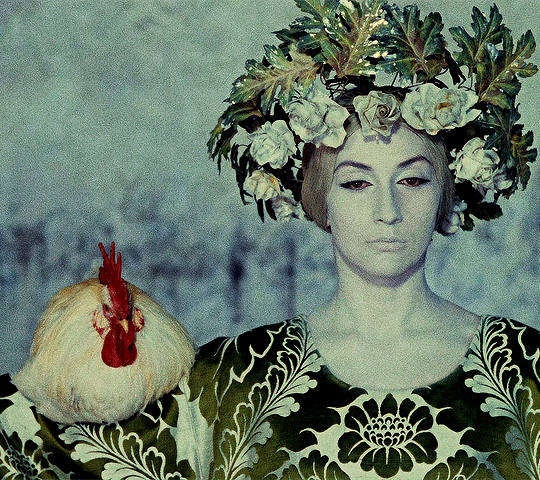 영화 석류의 빛깔 56년 만에 국내 최초 개봉 | 인스티즈