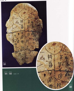 일파 이미지