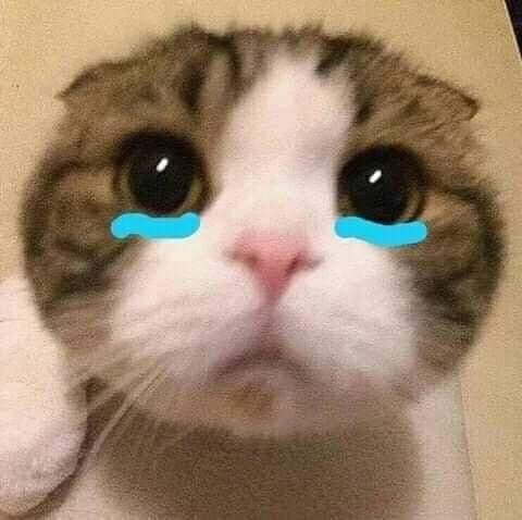 다빈 이미지