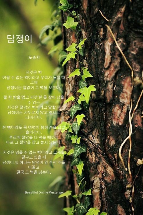 커피콩 이미지