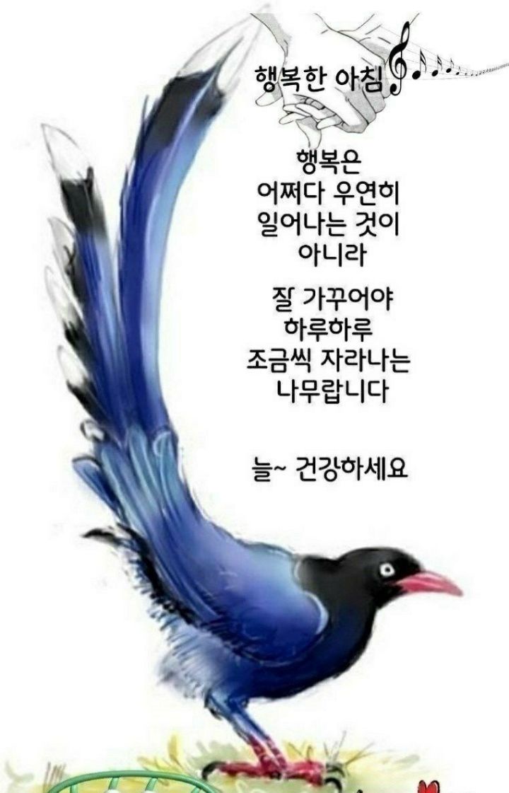 커피콩의하루 이미지