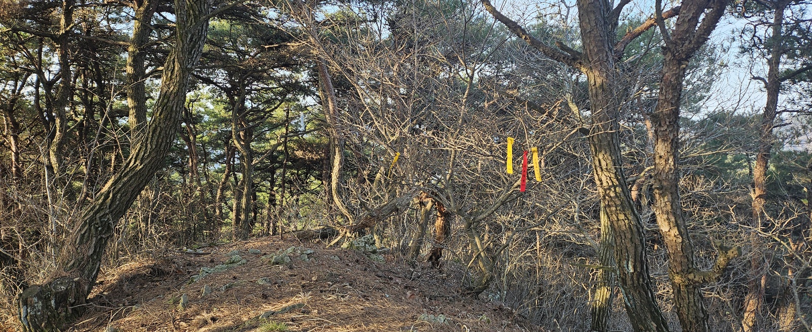 샤브작 이미지