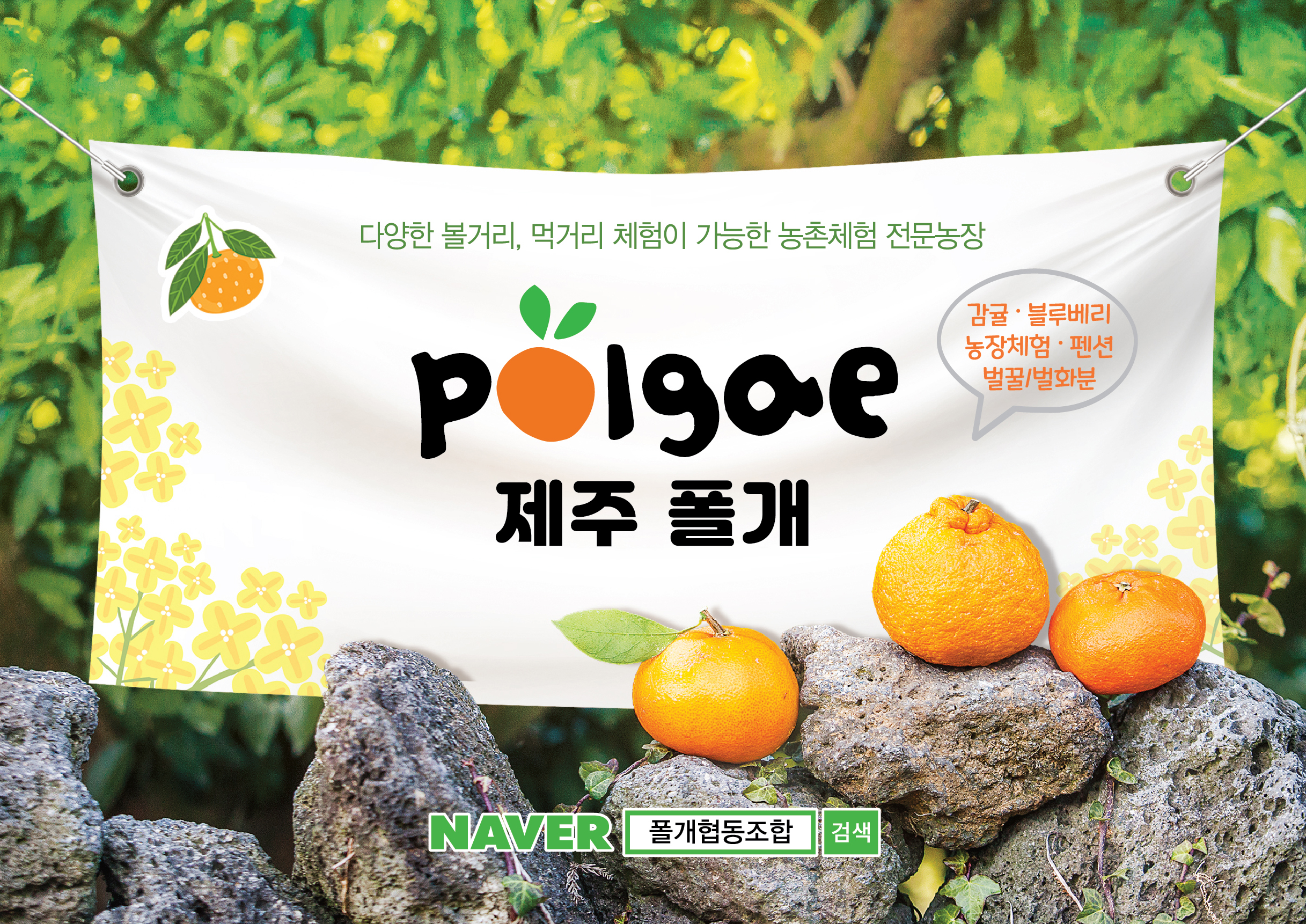 사회적협동조합제주로 이미지