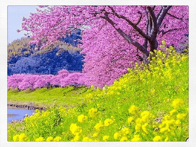 겸손의집 이미지