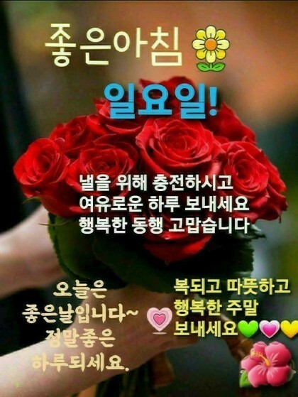 또바기님 이미지