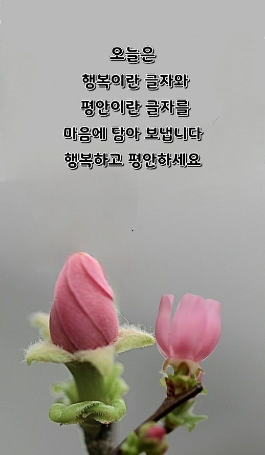 평안의샘 이미지