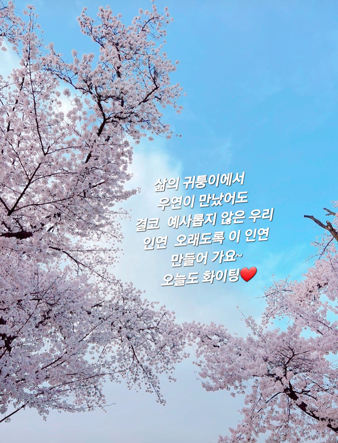 인연 이미지