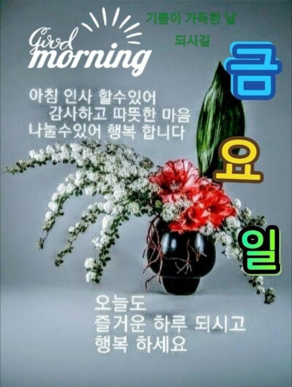 또바기님 이미지