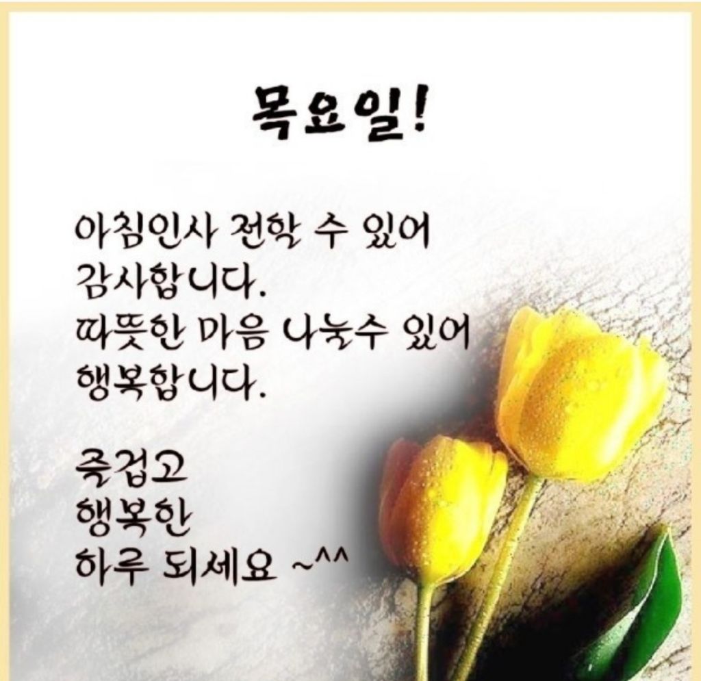 또바기님 이미지