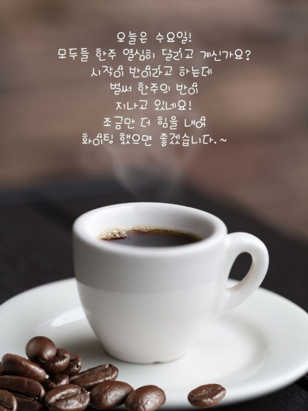 또바기님 이미지