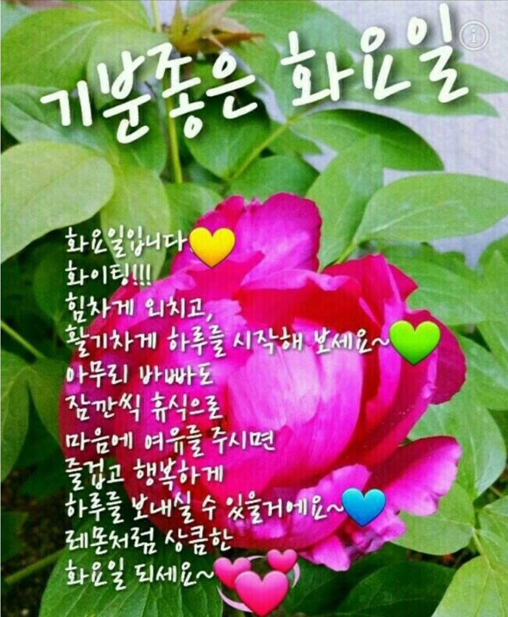 또바기님 이미지