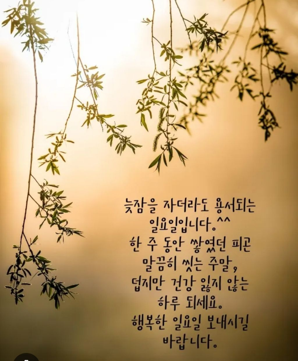 또바기님 이미지