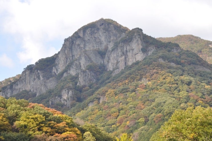 백양사 이미지