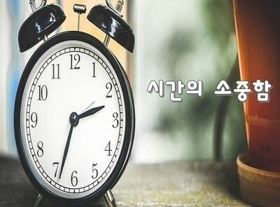 보화야 이미지