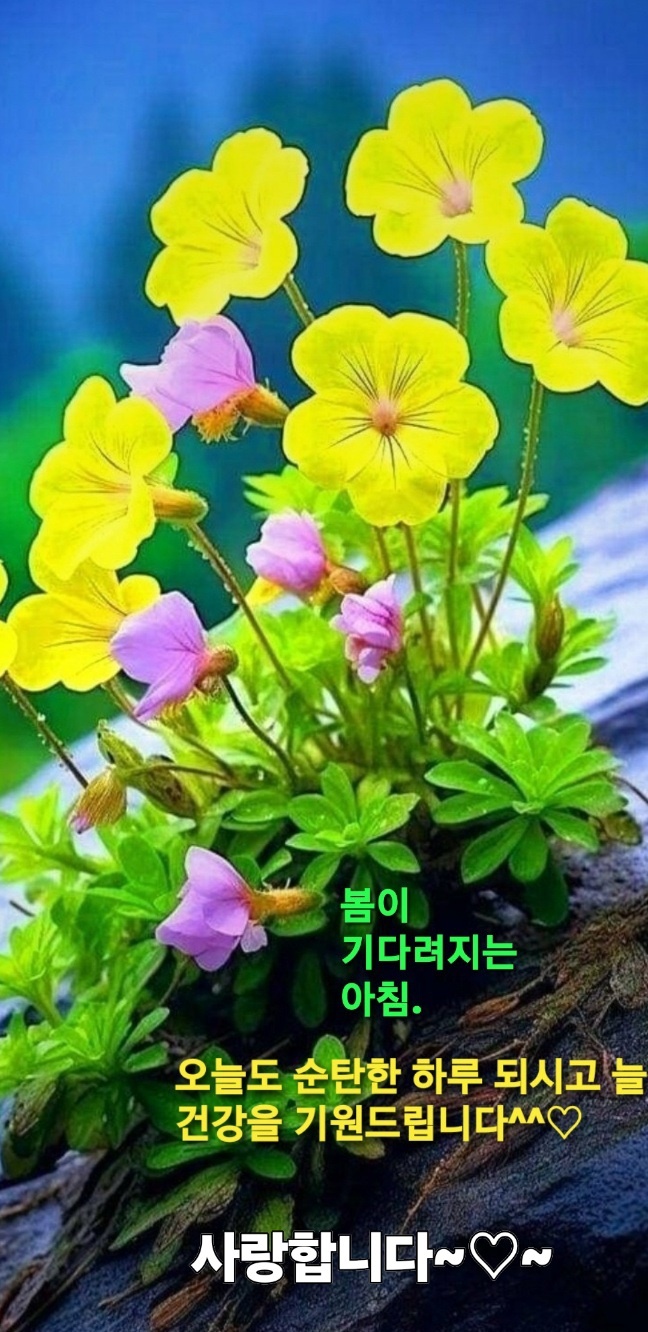 예쁜하루 이미지