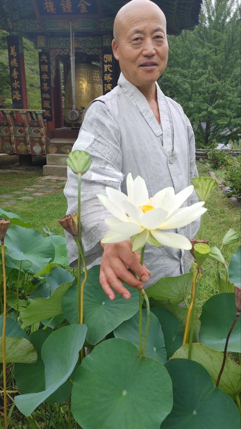 일선 이미지