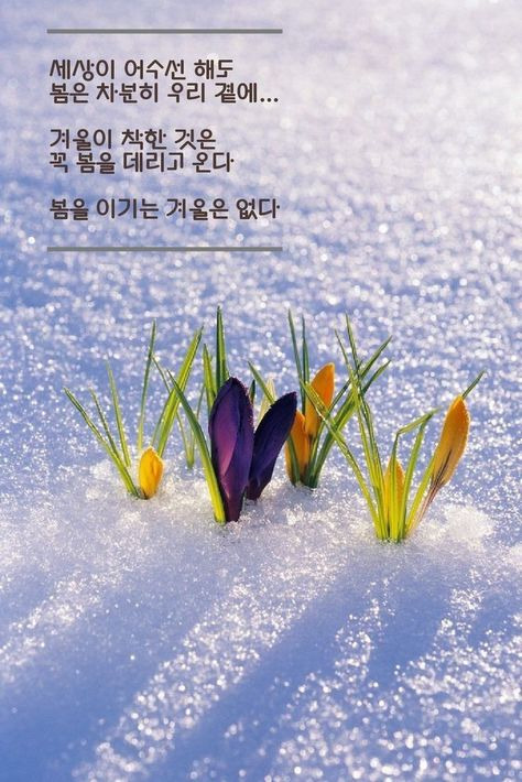 (주)한결여행 이미지