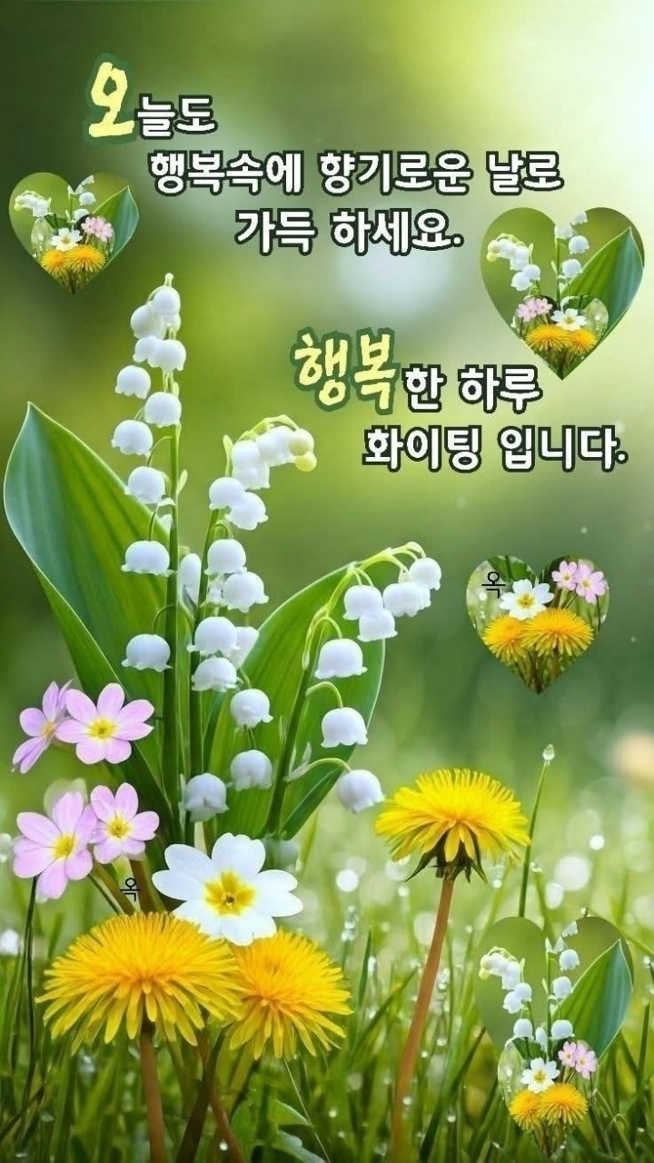 새로나웰빙 이미지