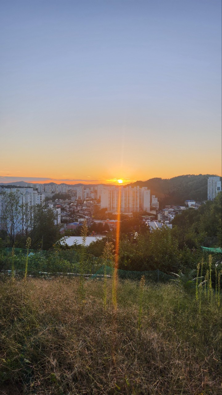 스포트라이트 이미지