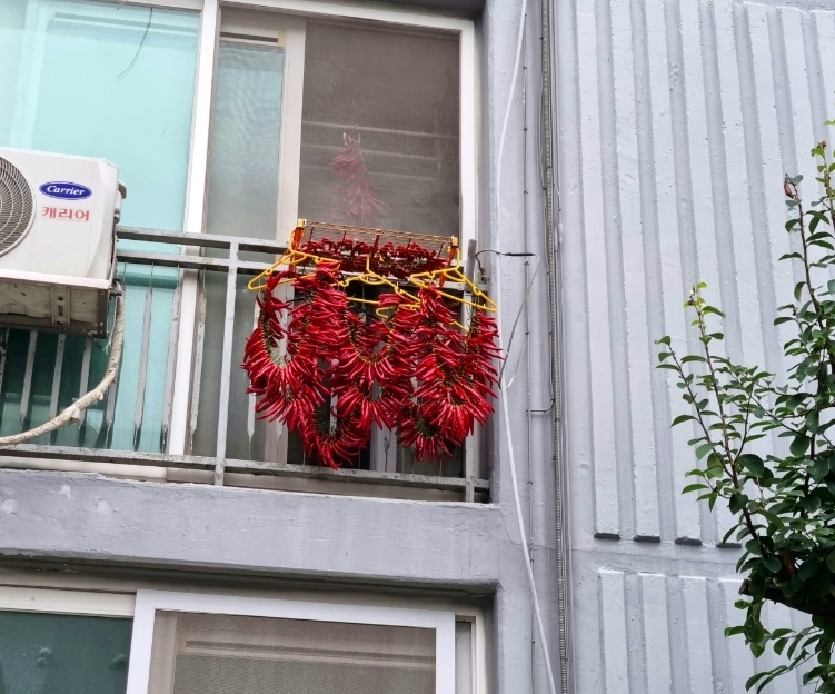 드림앤피플 이미지